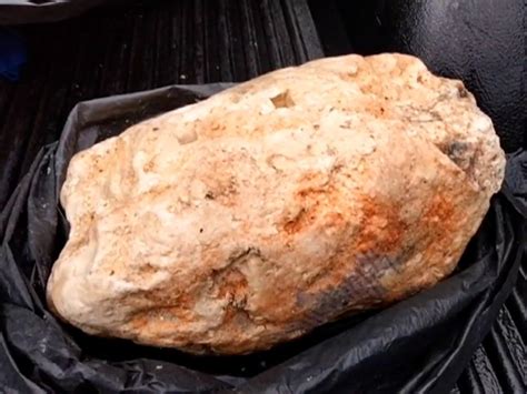 how much is ambergris worth|Why Is ‘Whale Vomit’ So Valuable That It Sells for .